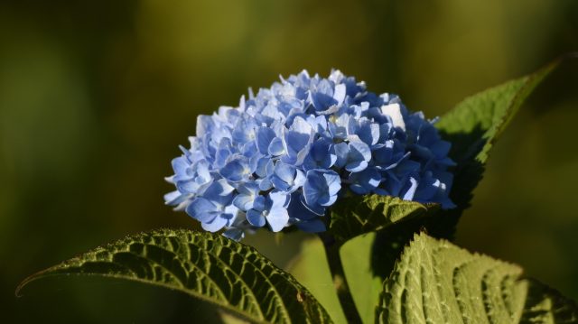 Weniger Stress, mehr Klarheit – warum Vertrauen am Arbeitsplatz so wichtig&nbsp;ist