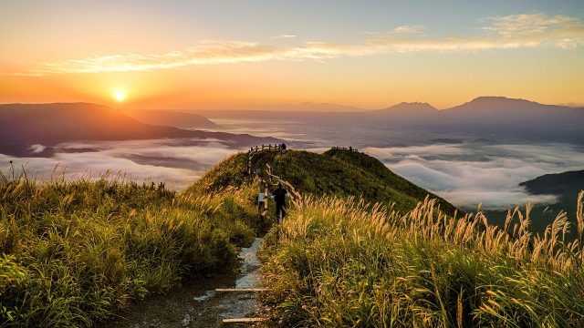 Natur im Arbeitsalltag: 4 einfache Tipps für mehr&nbsp;Erholung
